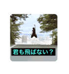 なんでも対応スタンプ（個別スタンプ：2）