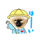 まめこー（個別スタンプ：16）