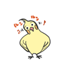オカメインコとミドリフグ（個別スタンプ：1）