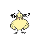 オカメインコとミドリフグ（個別スタンプ：2）