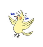 オカメインコとミドリフグ（個別スタンプ：5）