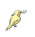 オカメインコとミドリフグ（個別スタンプ：6）