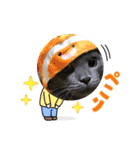 猫のコマちゃんとナナちゃん2（個別スタンプ：1）