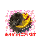 猫のコマちゃんとナナちゃん2（個別スタンプ：2）