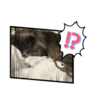 猫のコマちゃんとナナちゃん2（個別スタンプ：9）