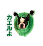 ぼすてりくかい2（個別スタンプ：7）
