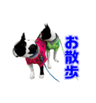 ぼすてりくかい2（個別スタンプ：9）