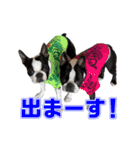 ぼすてりくかい2（個別スタンプ：11）