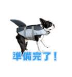 ぼすてりくかい2（個別スタンプ：12）