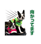 ぼすてりくかい2（個別スタンプ：14）
