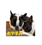 ぼすてりくかい2（個別スタンプ：15）