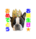 ぼすてりくかい2（個別スタンプ：24）