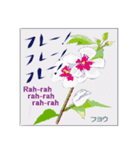 ミチコばあば NO18 夏の花 C（個別スタンプ：4）