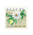 ミチコばあば NO18 夏の花 C（個別スタンプ：7）