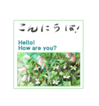 ミチコばあば NO18 夏の花 C（個別スタンプ：13）