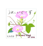 ミチコばあば NO18 夏の花 C（個別スタンプ：14）