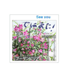 ミチコばあば NO18 夏の花 C（個別スタンプ：16）