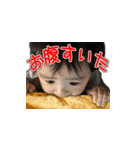 子供社長（個別スタンプ：11）