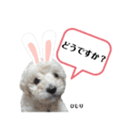 ばんべび ❤︎（個別スタンプ：6）