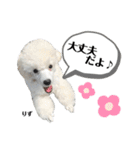 ばんべび ❤︎（個別スタンプ：8）