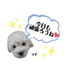 ばんべび ❤︎（個別スタンプ：12）