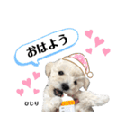 ばんべび ❤︎（個別スタンプ：18）