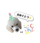 ばんべび ❤︎（個別スタンプ：20）