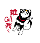 紅茶(柴犬) 1 - 日常会話（個別スタンプ：6）