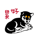 紅茶(柴犬) 1 - 日常会話（個別スタンプ：9）