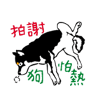 紅茶(柴犬) 1 - 日常会話（個別スタンプ：10）