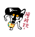 紅茶(柴犬) 1 - 日常会話（個別スタンプ：13）