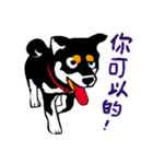 紅茶(柴犬) 1 - 日常会話（個別スタンプ：22）