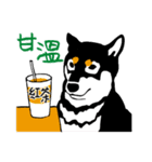 紅茶(柴犬) 1 - 日常会話（個別スタンプ：26）