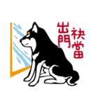 紅茶(柴犬) 1 - 日常会話（個別スタンプ：28）