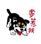 紅茶(柴犬) 1 - 日常会話（個別スタンプ：29）