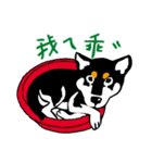 紅茶(柴犬) 1 - 日常会話（個別スタンプ：32）