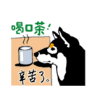 紅茶(柴犬) 1 - 日常会話（個別スタンプ：33）