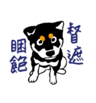 紅茶(柴犬) 1 - 日常会話（個別スタンプ：34）