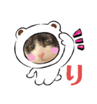 ハチワレはっちゃん815②（個別スタンプ：2）