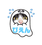ハチワレはっちゃん815②（個別スタンプ：4）