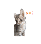 しもてぃーず（個別スタンプ：3）