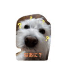 白モフ⚡トビくん（個別スタンプ：2）