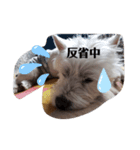 白モフ⚡トビくん（個別スタンプ：7）