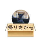 ちょーちゃん（個別スタンプ：1）