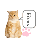 みー＆まーときゃん（個別スタンプ：2）