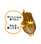 みー＆まーときゃん（個別スタンプ：23）