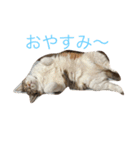 みんな大好きくるみちゃん2（個別スタンプ：2）