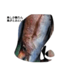 魚もしかしたら使えるかも（個別スタンプ：1）