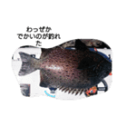 魚もしかしたら使えるかも（個別スタンプ：4）