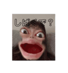元気が無くなるスタンプ（個別スタンプ：6）
